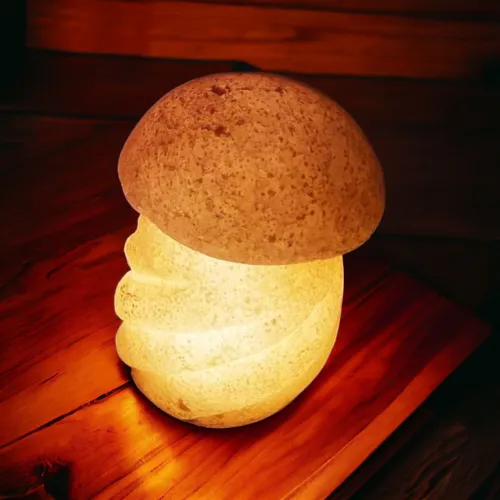 Rock Salt Led Lamps | Design 18 | اباجورة الملح الصخري 